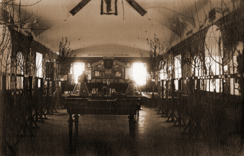 Интерьер `Музея достижений И.В.Мичурина`. Неизвестный фотограф. 1928.