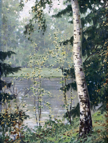 Киселёв Николай Александрович. Берёза у пруда. Холст, масло. 58х45. 1940-е. Государственный Владимиро-Суздальский историко-архитектурный и художественный музей-заповедник.