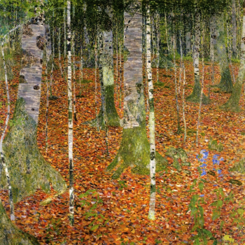 Густав Климт. Берёзовая роща. Холст, масло. 110х110. 1903. Частное собрание.