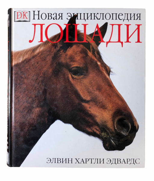 Лошади Новая Энциклопедия.