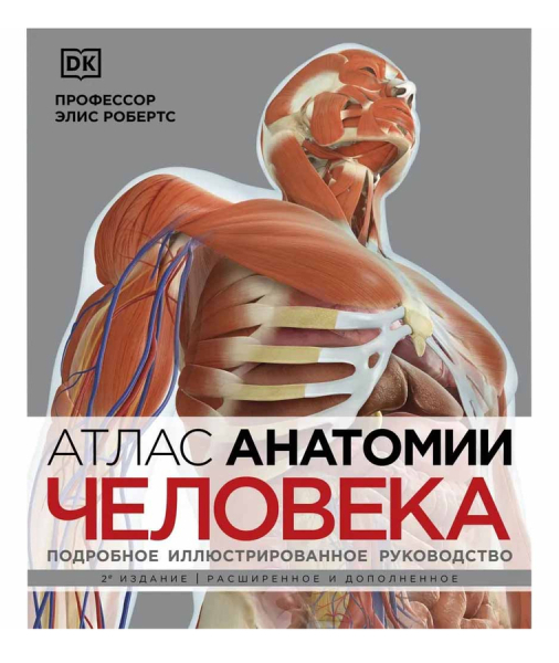 Атлас анатомии человека. Подробное иллюстрированное руководство. 2-е издание..