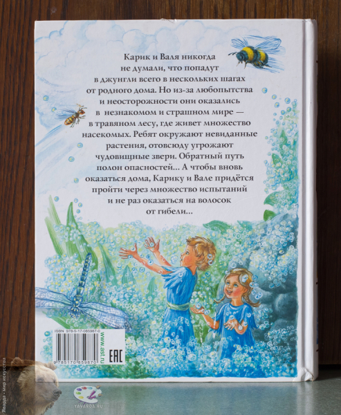 Необыкновенные приключения Карика и Вали. Задняя обложка книги