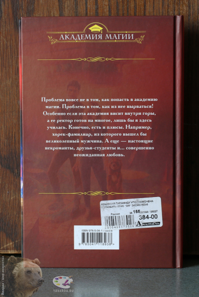 Академия `Пирамида`. Уполномочена полюбить. Задняя обложка книги
