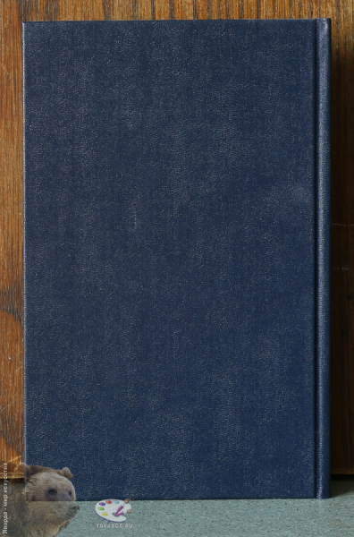 Милицейские романы: Задержание. Привести в исполнение. Задняя крышка книги