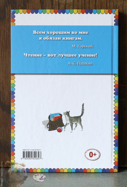 Дневник Наташи Ивановой. Задняя крышка книги