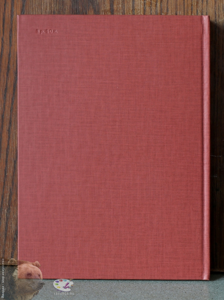 Этюды о картинах. Задняя крышка книги