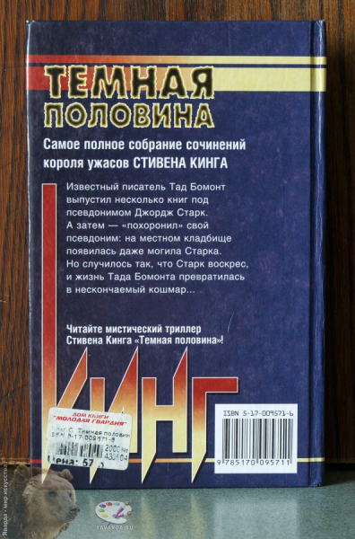 Тёмная половина. Задняя крышка книги
