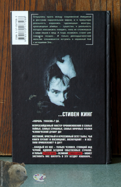 Талисман. Роман. Задняя крышка книги