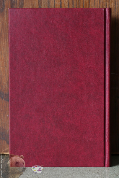 Библия. Задняя обложка книги