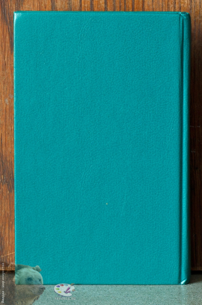 Справочник по орфографии и пунктуации. Задняя обложка книги