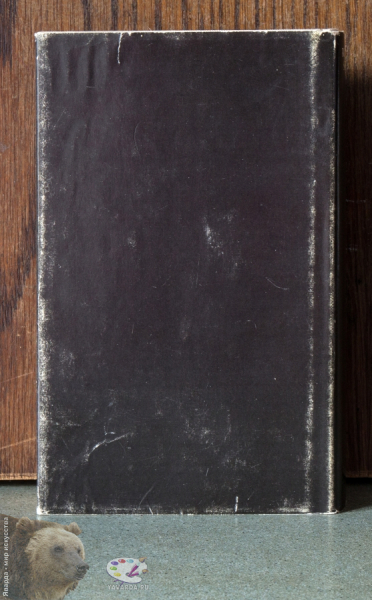 Der Gefesselte. Das Leben Michelangelos (1500-1527). Roman. Задняя крышка книги
