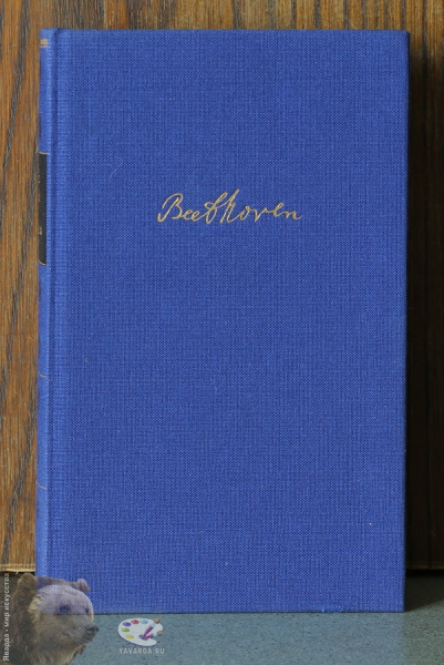 Appassionata. Lebensroman Ludwig van Beethovens. Лицевая крышка книги без суперобложки